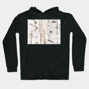 Birch Hoodie